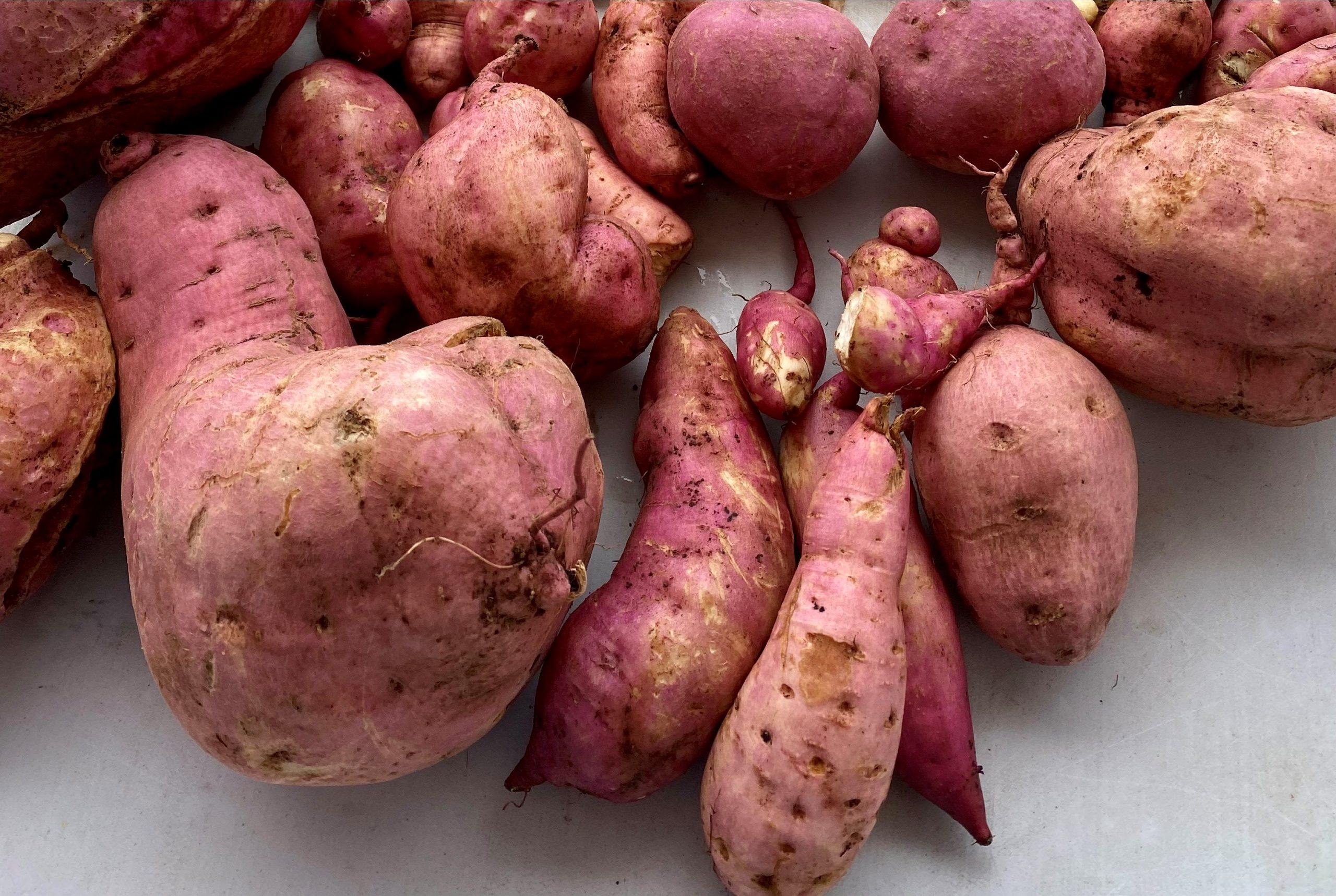 sweet potato